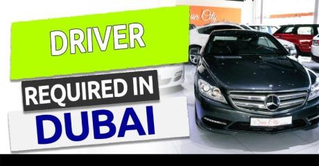 Driver Required in Dubai