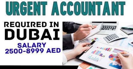 Urgent Accountant Required in Dubai