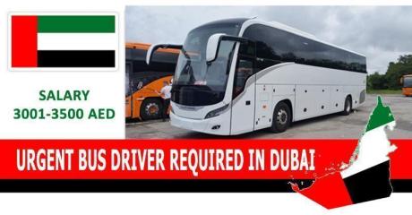 URGENT BUS DRIVER REQUIRED IN DUBAI