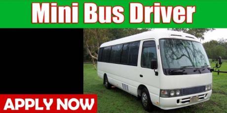 Mini Bus Driver