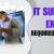 IT Support Expert Required in Dubai