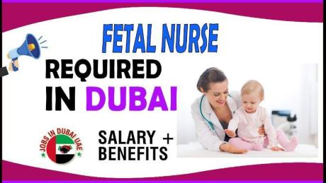 Fetal Nurse Required in Dubai
