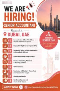 Senior Accountant Required in Dubai