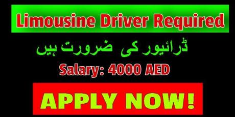Dispatchers for Limousine Driver