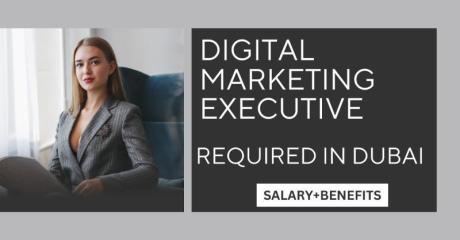 Digital Marketing Executive Required in Dubai