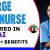 Charge Nurse Required in Dubai -