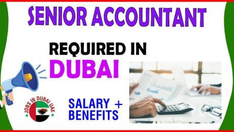 Senior Accountant Required in Dubai