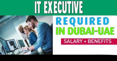 IT Executive Required in Dubai -