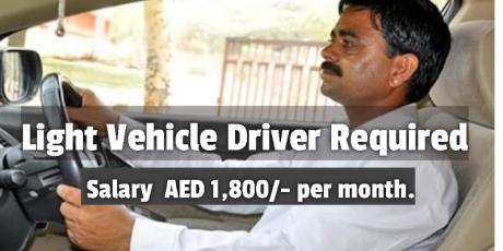 Light Vehicle Driver