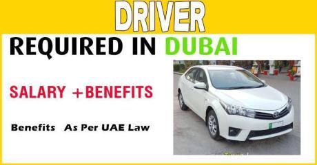 Driver Required in Dubai