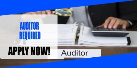 AUDITOR REQUIRED IN DUBAI