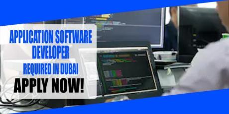 APPLICATION SOFTWARE DEVELOPER