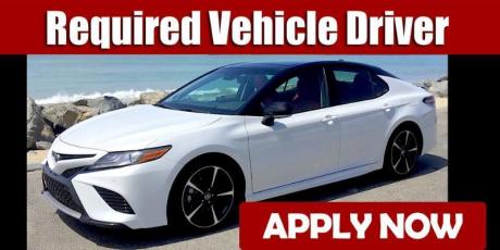 Light Vehilce Driver