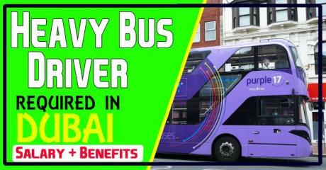 Heavy Bus Driver Required in Dubai