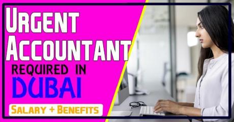 Urgent Accountant Required in Dubai