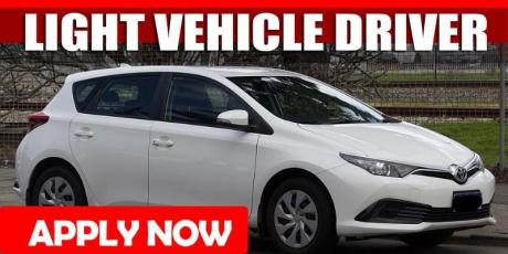 LIGHT VEHICLE DRIVER