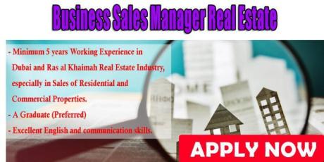 Business Sales Manager Real Estate