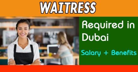 Waitress Required in Dubai