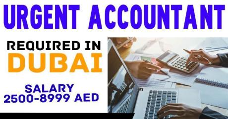 Urgent Accountant Required in Dubai