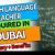 English language teacher in Jumeirah Park Required in Dubai