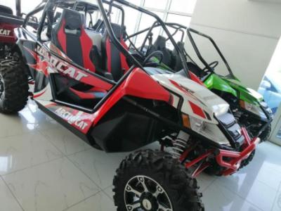 WILD CAT X 1000 - RED/WHITE - 2014