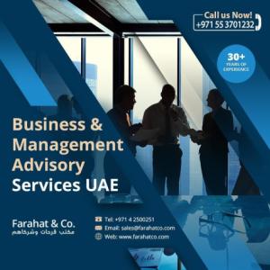 Business and Management Advisory Providers