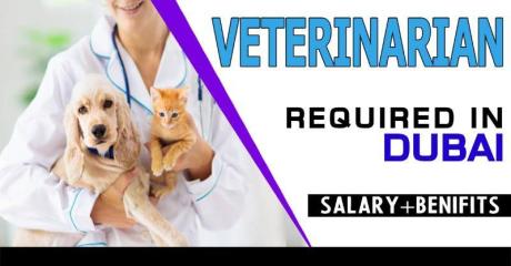 Veterinarian Required in Dubai