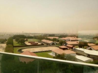 Brand new studio for rent