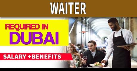 Waiter Required in Dubai