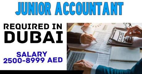 Junior Accountant Required in Dubai