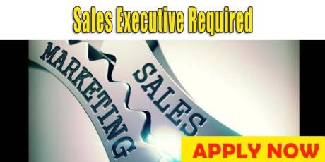 Sales Executive Required