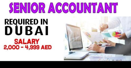 Senior Accountant Required in Dubai