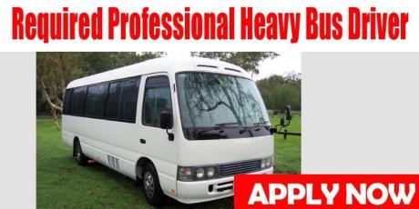 Required Professional Heavy Bus Driver