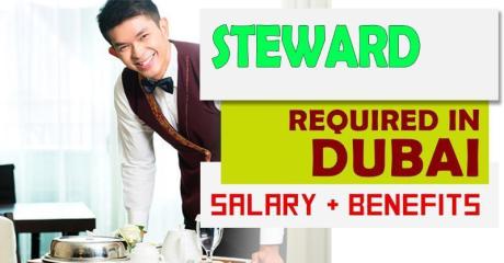 Steward Required in Dubai