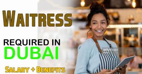 Waitress Required in Dubai
