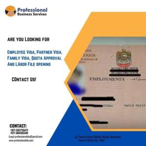 VISA SERVICES WITHOUT THE HIGH COSTS. WE CAN ASSIST YOU!