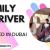 Family Driver Required in Dubai