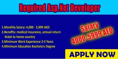 Required Asp.Net Developer