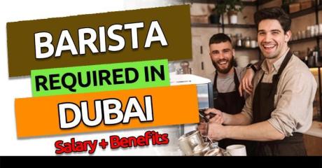 Barista Required in Dubai -