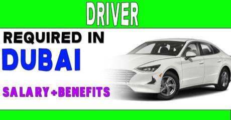 Driver Required in Dubai