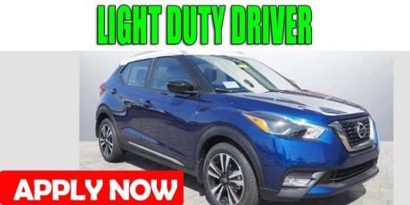 LIGHT DUTY DRIVER