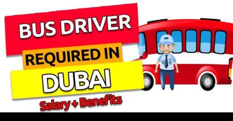 Bus Driver Required in Dubai