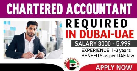 CHARTERED ACCOUNTANT REQUIRED IN DUBAI