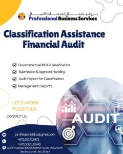 CLASSIFICATION ASSISTANCE FINANCIAL AUDIT