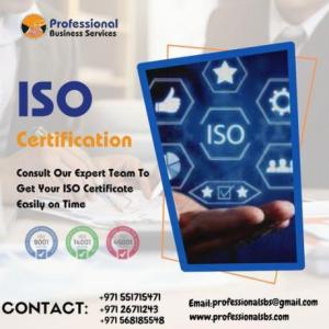 WE CAN PROVIDE THE ISO CERTIFICATE EASILY ON TIME! CONTACT US!