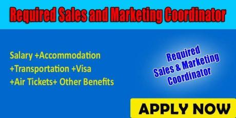 Required Sales and Marketing Coordinator