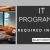 IT Programmer Required in Dubai