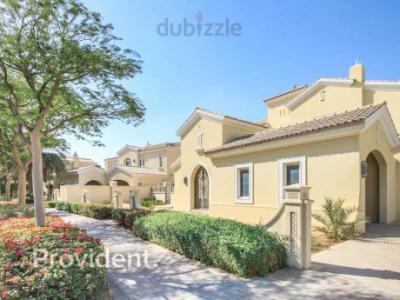 Brand New | Biggest Collection in Polo