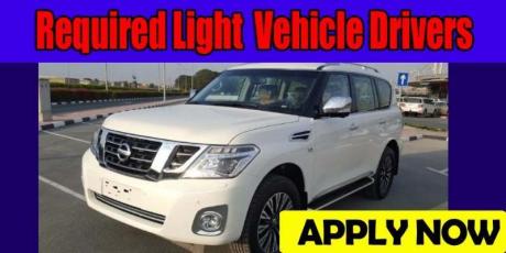 Required Light  Vehicle Drivers