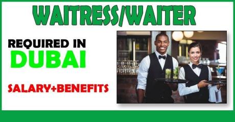 Waitress/Waiter Required in Dubai